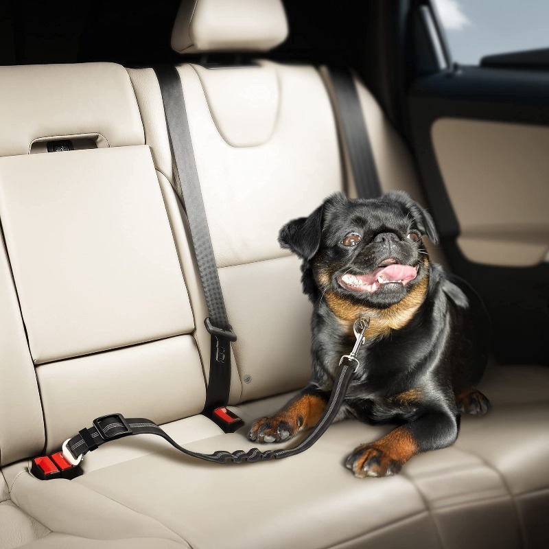 Einziehbares Hunde-Autogurt-Se – Snap Fastener Set Bewertung und Preis