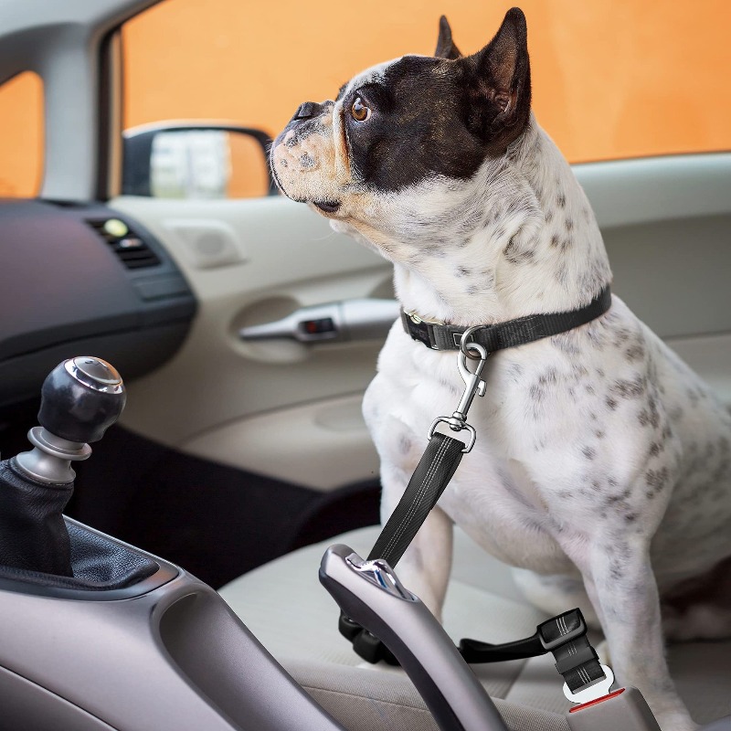 Einziehbares Hunde-Autogurt-Se – Snap Fastener Set Bewertung und Preis